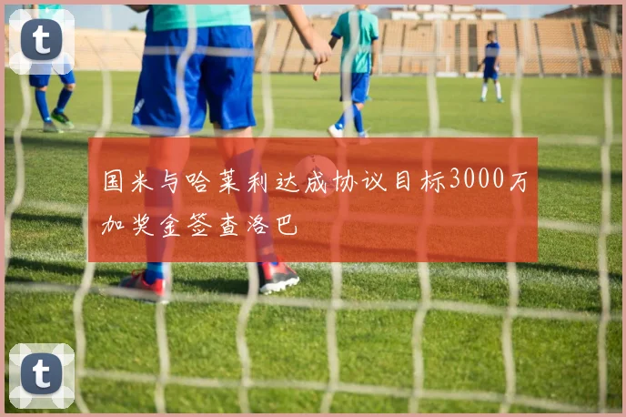 国米与哈莱利达成协议目标3000万加奖金签查洛巴