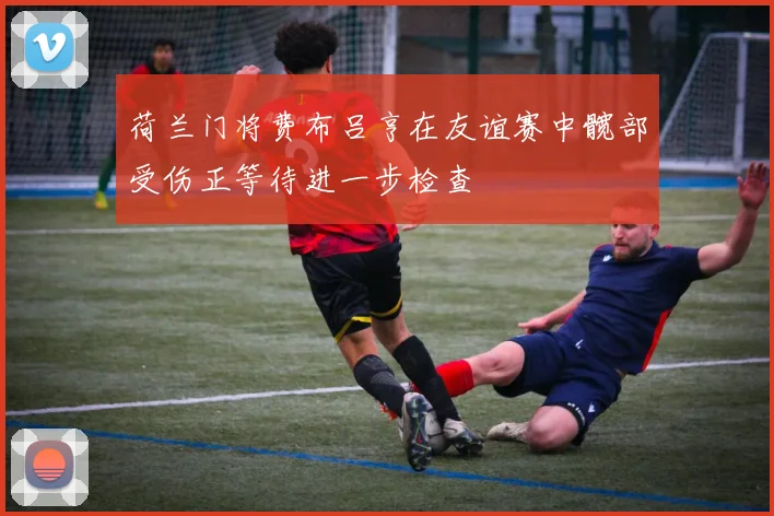 荷兰门将费布吕亨在友谊赛中髋部受伤正等待进一步检查