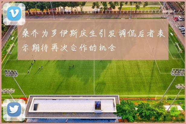 桑乔为罗伊斯庆生引发调侃后者表示期待再次合作的机会