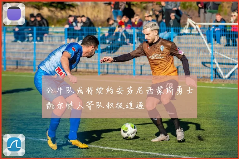 公牛队或将续约安芬尼西蒙斯勇士凯尔特人等队积极追逐